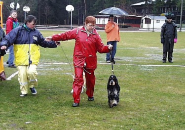 Frn BIS-finalen valpar 6-12 mnader