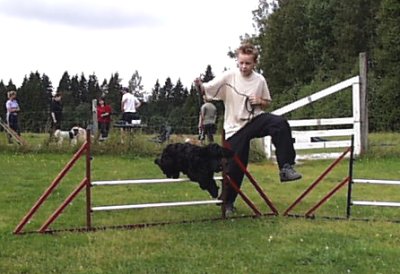 Agility i Kil 25 augusti 2001