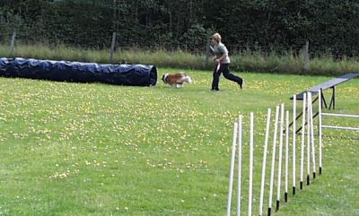 Agility i Kil 25 augusti 2001