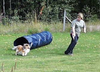 Agility i Kil 25 augusti 2001