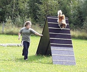 Agility i Kil 25 augusti 2001