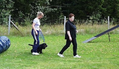 Agility i Kil 25 augusti 2001