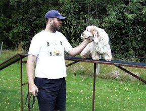 Agility i Kil 25 augusti 2001