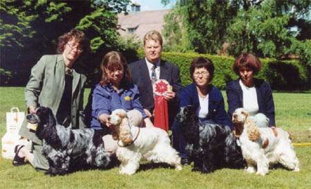 Bsta uppfdargrupp: Kennel Westerner