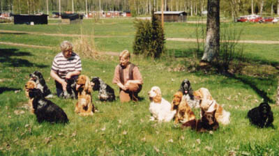 Cockertrff p Skutberget, brjan av 90-talet