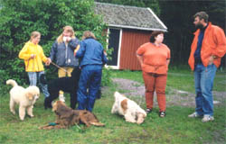Handlertrning p Hammar, 23 juni 1998
