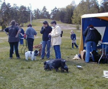 Skutberget 24 maj 2001