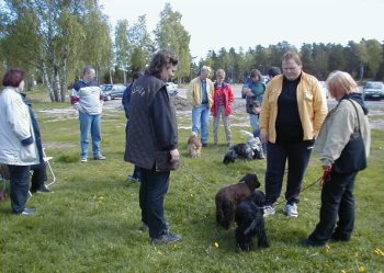 Skutberget 24 maj 2001